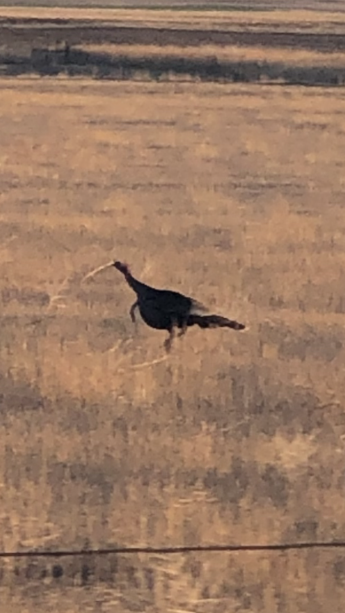 General Content Photos Photo