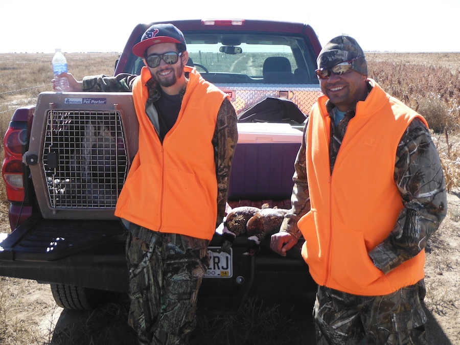 Pheasant/Dove Hunting
