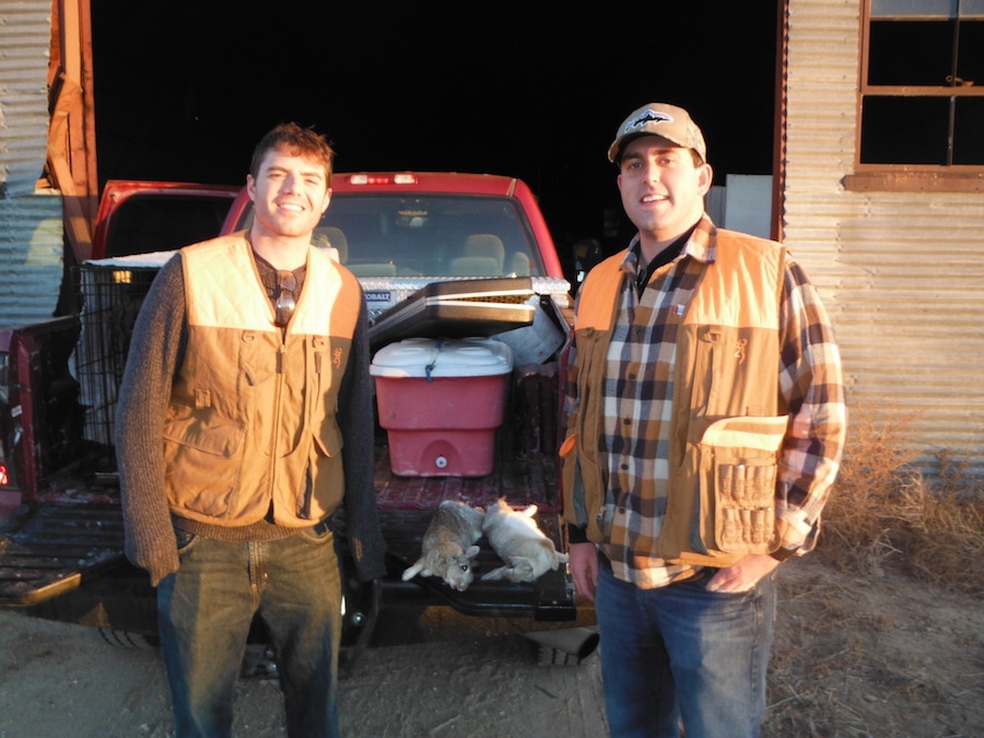 Rabbit Hunting Rates