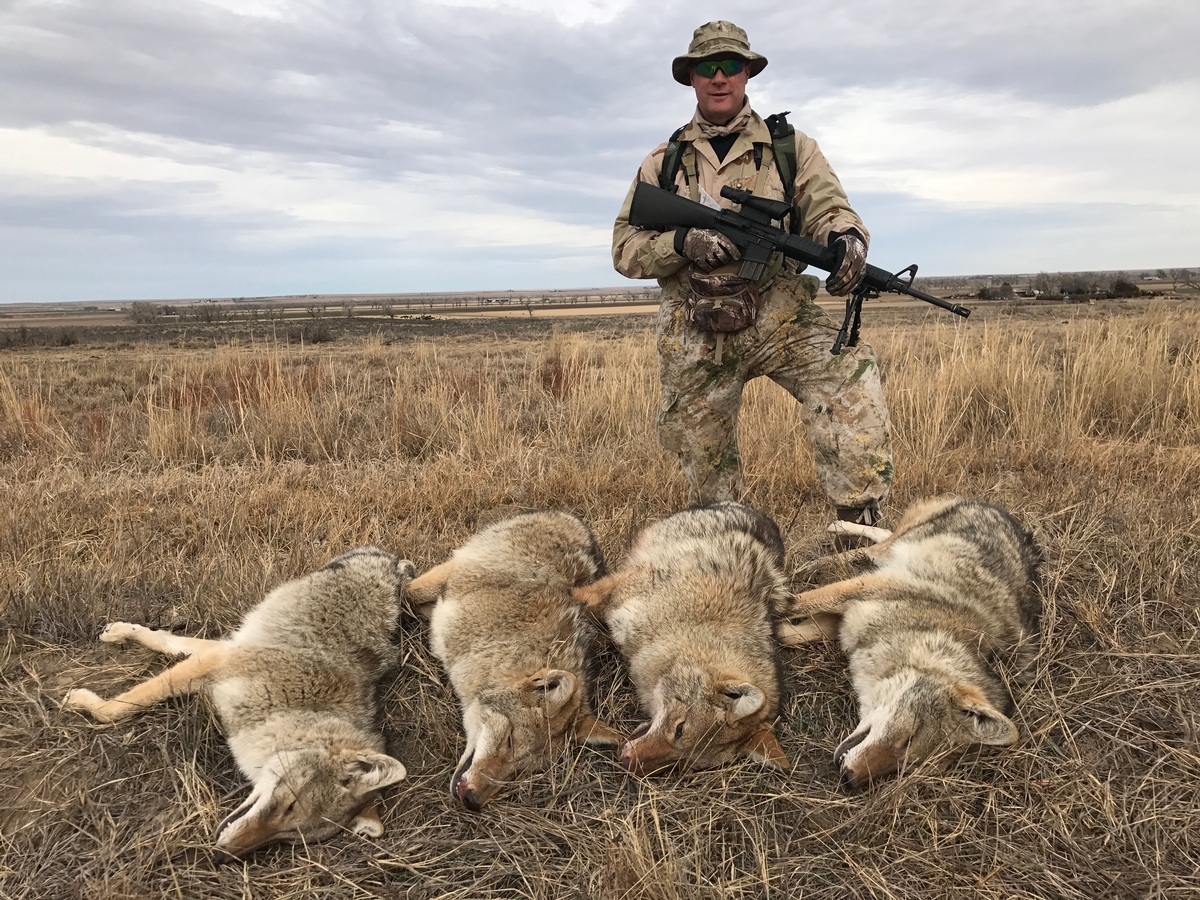 General Content Photos Photo